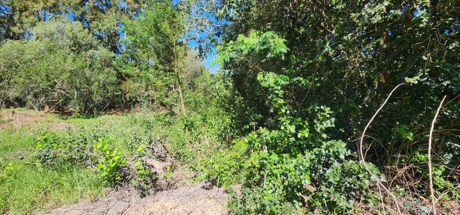 0 Bedroom Property for Sale in Swellendam Western Cape